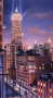 City Lights
