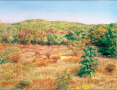 Vinyard Autumn
