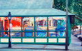 Reflections on Oak Bluffs