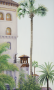 St. Augustine Palms